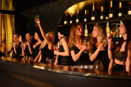 Damen an der Bar im BAROQ Wien